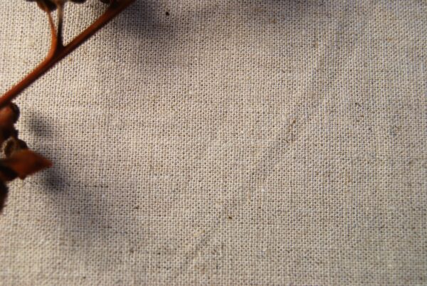 Organic Linen Organic Cotton 11S - Unbleached