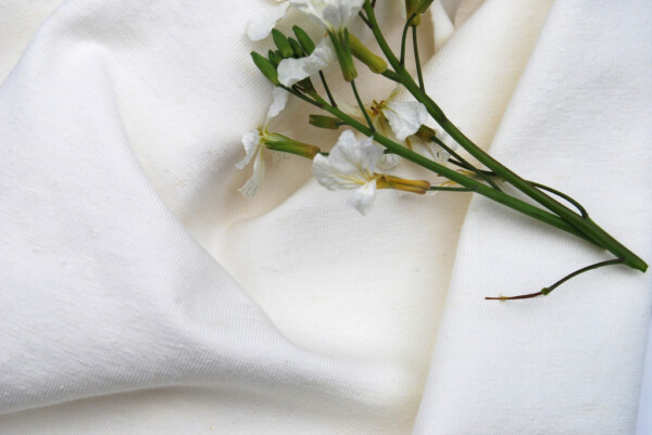 Hemp Organic Cotton Elastane Jersey Natural