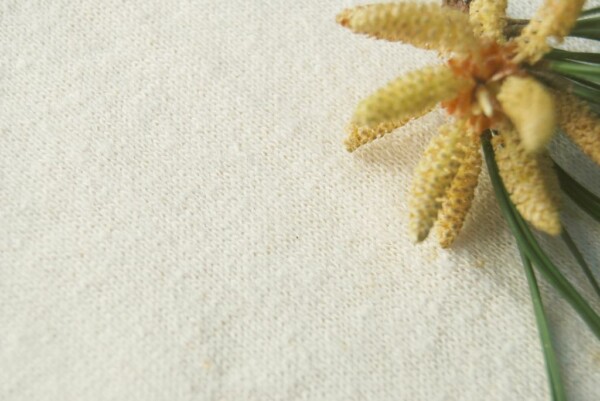 Hemp Organic Cotton T Shirt Knit
