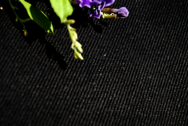 Hemp Organic Cotton Lightweight Knit black